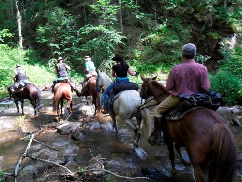 Agroturismo Wohlf�hlbauernhof Siebernegg