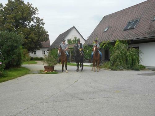 Agroturismo Wohlf�hlbauernhof Siebernegg
