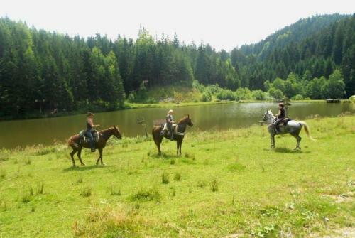 Agroturismo Wohlf�hlbauernhof Siebernegg