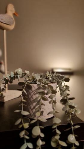 Apartamento Studio De Haan