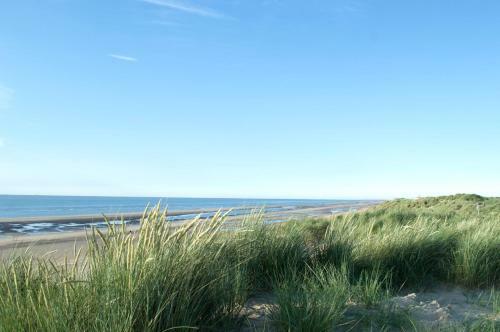 Sunny Apartment In Residential Park - de Haan