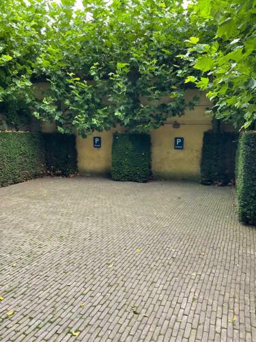 Villa Francine