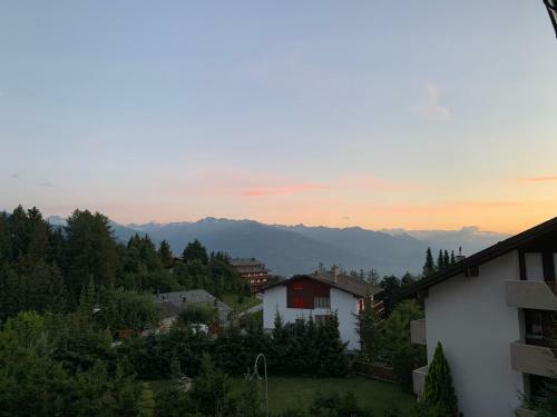 Apartamento La Jacinthe de Crans