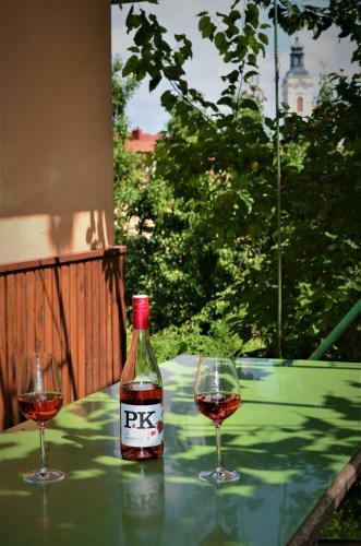 Apartamento Vina?stv� Koliba