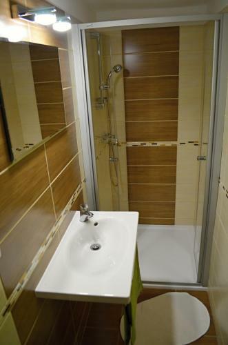 Apartamento Vina?stv� Koliba