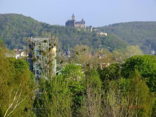 Ferienhaus Knopp