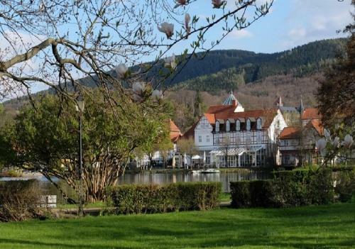 Ferienhaus Knopp