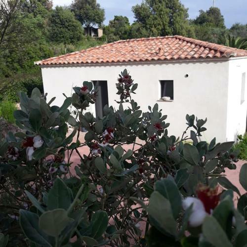 Maison T2 Au Pied Du Mont Gozzi