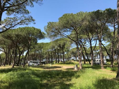 Camping La Tamarissi�re