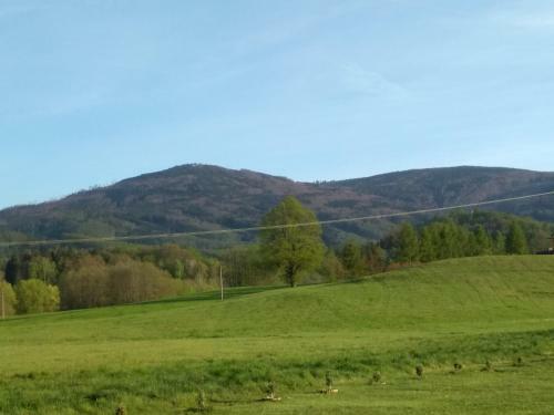 Apartamento Rychlebsk� Pohoda