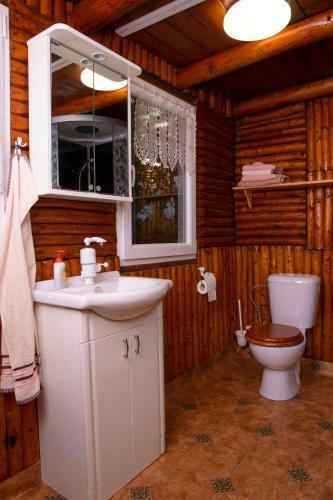 Villa Chati?ka - ?ern� Vod?rady