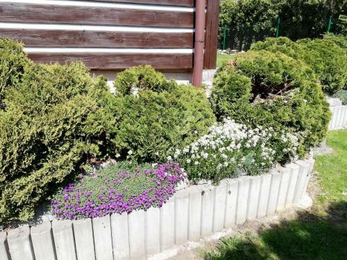 Vakantiehuis Cerny Dul 259