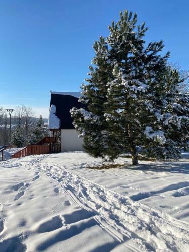 Villa Vila 66 - ?ist� V Krkono?�ch