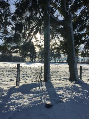 Ardennen Punthuisje