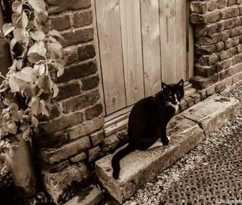 B&B Barvaux, Durbuy