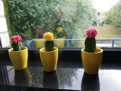 Apartamento Durbuy Mooi Ingericht Appartement