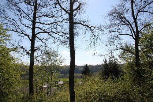 Chalet Nummer 61