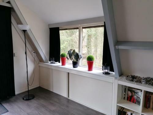 Chalet In De Ardense Bossen