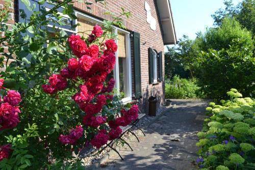 Apartamento B&B de Vennesik Rijssen, Overijssel