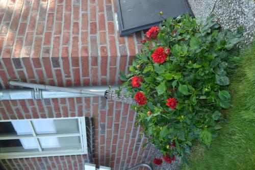 Apartamento B&B de Vennesik Rijssen, Overijssel