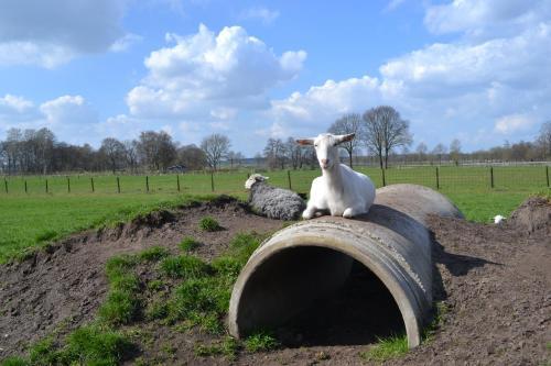 Apartamento B&B de Vennesik Rijssen, Overijssel