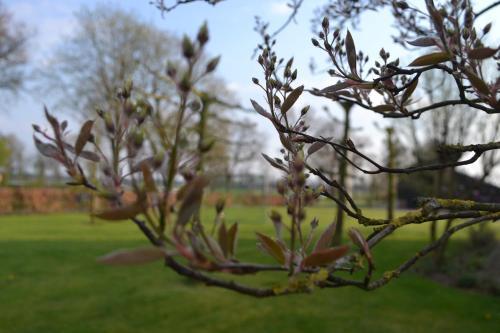Apartamento B&B de Vennesik Rijssen, Overijssel