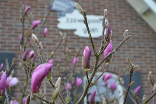 Apartamento B&B de Vennesik Rijssen, Overijssel