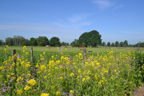 Apartamento B&B de Vennesik Rijssen, Overijssel