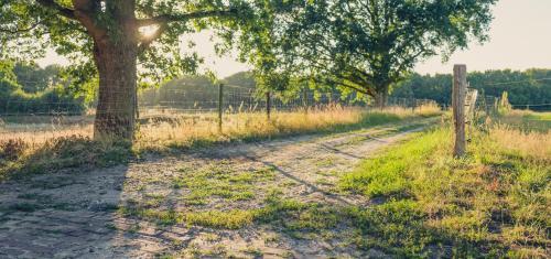 Bed & Breakfast Restinn Meppen