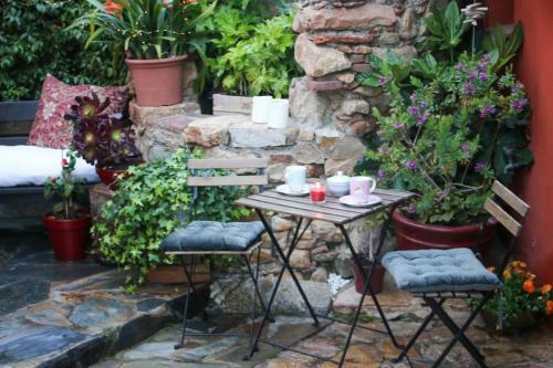Suite Garden House