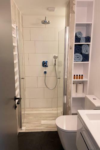 Apartment Kopa