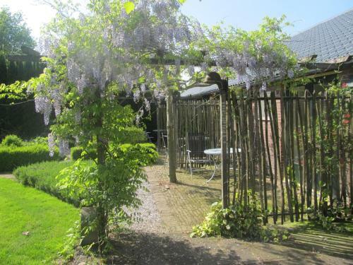 Roing B&B
