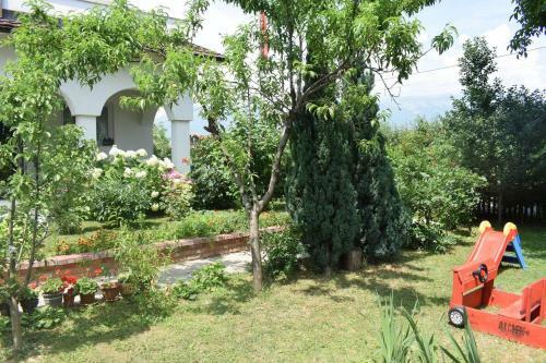 Green Paradise Villa