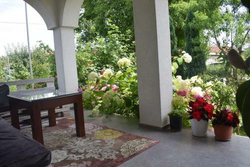 Green Paradise Villa