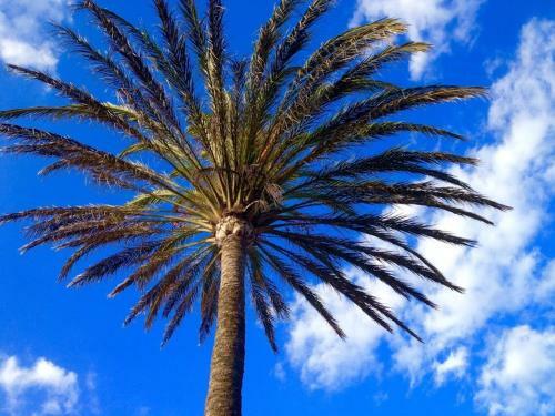 Mol� De Ca'n Orell