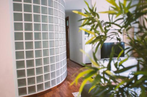 Charming Apartment - Free Parking
