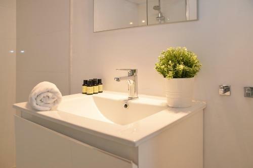 Apartamento Canary Lofts