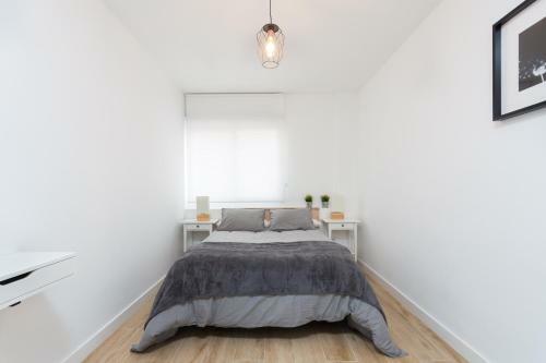 Modern Center Apartment