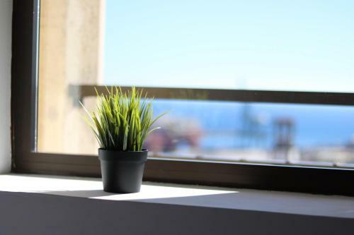 Apartamento Con Vistas Corazon Santa Cruz