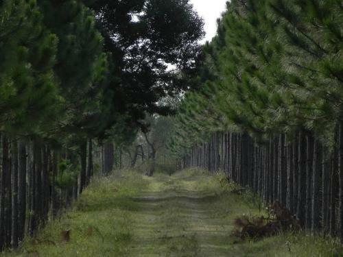 Agroturismo Estancia Turistica La Providencia