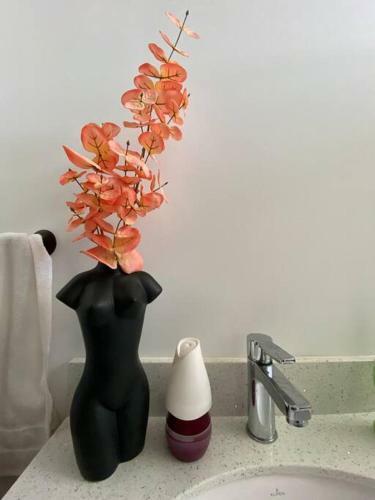 Apartamento Penguin Rentals
