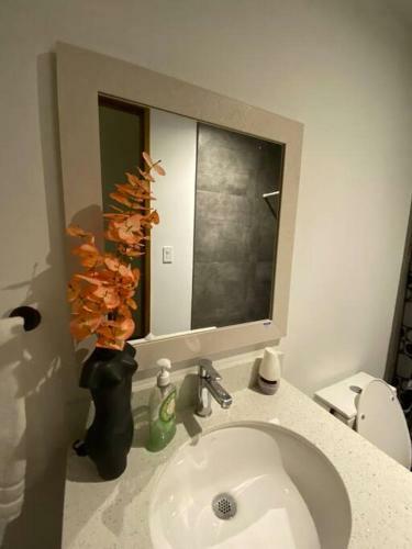 Apartamento Penguin Rentals