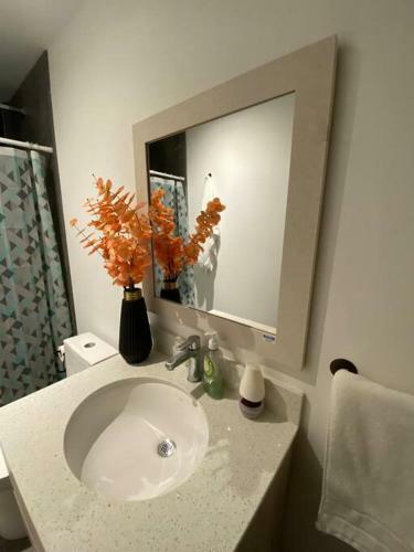 Apartamento Penguin Rentals