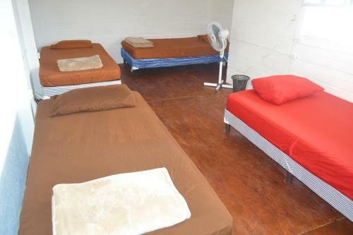 Bed & Breakfast 4 Grados Hostel