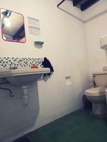 Bed & Breakfast 4 Grados Hostel