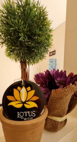 Lotus Hotel