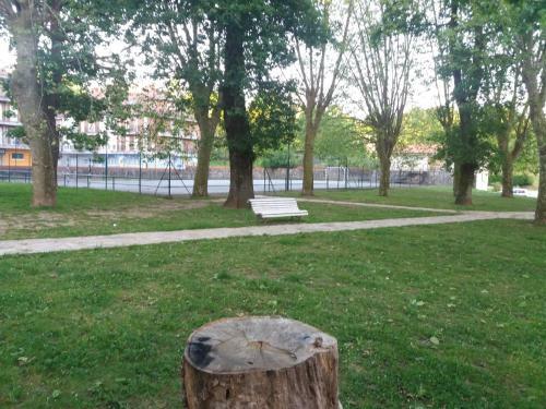 Apartamento Saron Centro