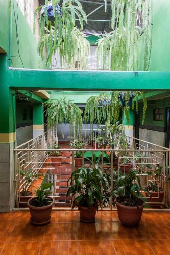 Posada Hotel Landivar