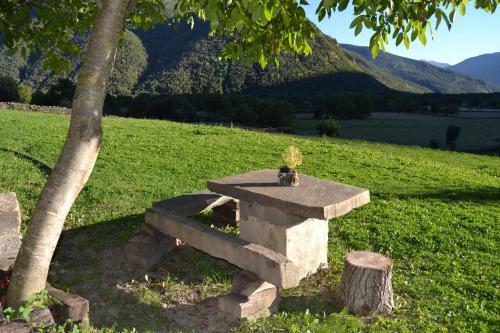 Apartamentos Vi�a Olivan
