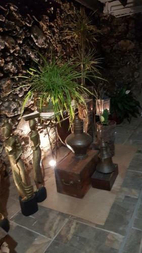 Lodge Elescondite